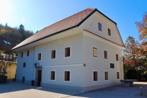 Vodnikova domačija (1)