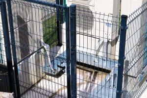 Vrtec Hotedršica (11)